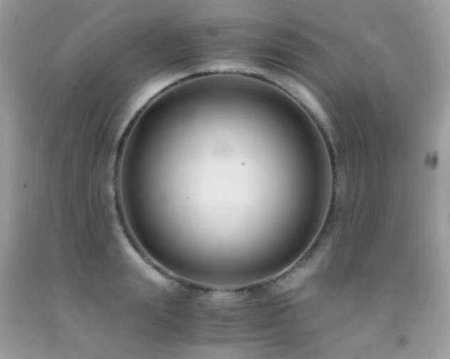X0000091860847200709051206