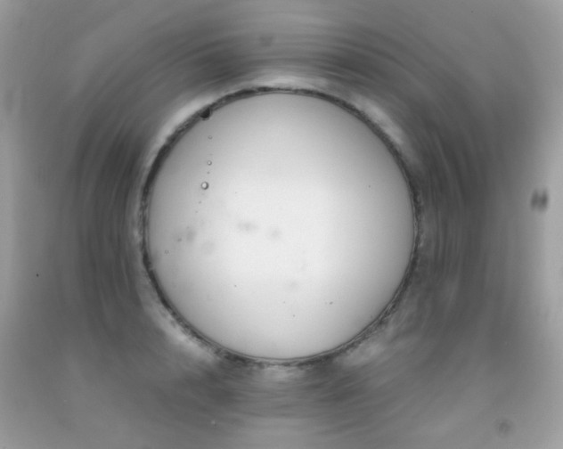 X0000091860848200709051206