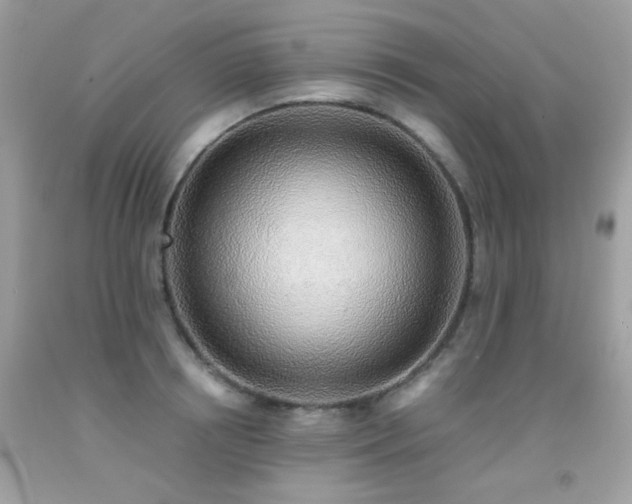 X0000091860850200709051206
