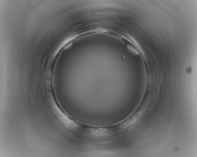 X0000091860851200709051206