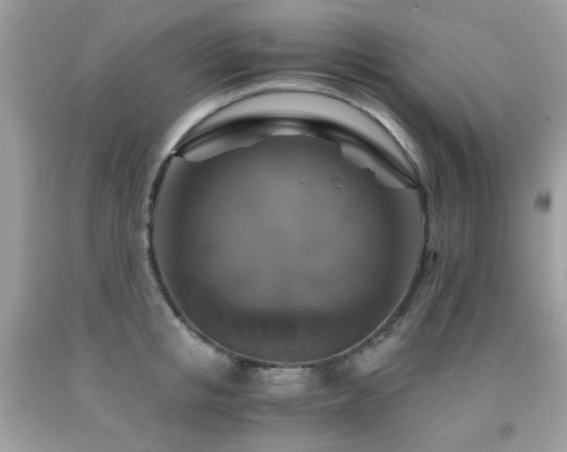 X0000091860853200709051206