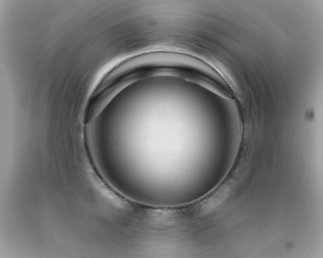 X0000091860854200709051207
