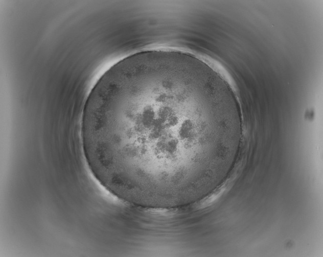 X0000091860855200709051207