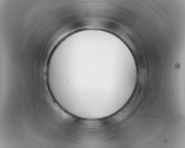 X0000091860856200709051207