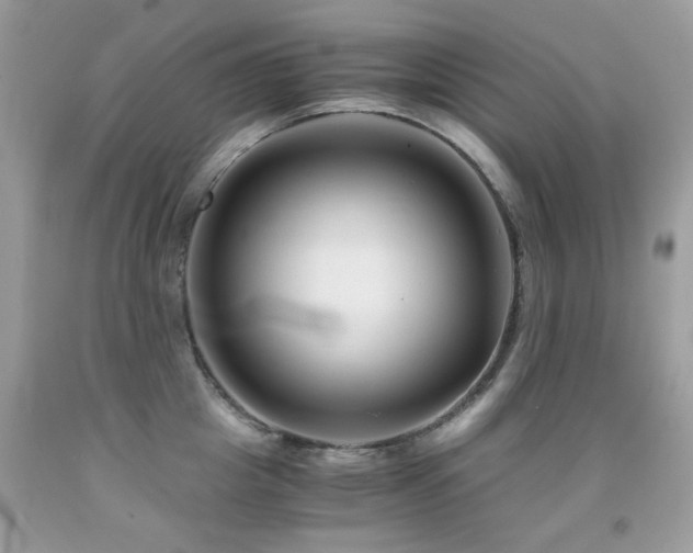 X0000091860857200709051207