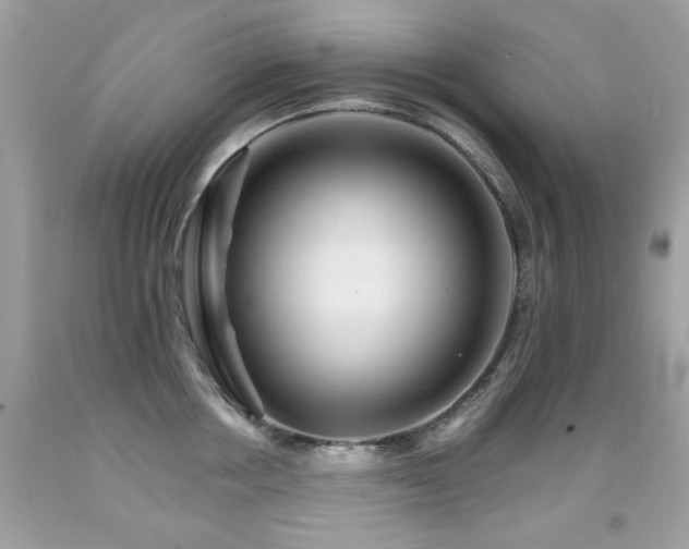 X0000091860858200709051207