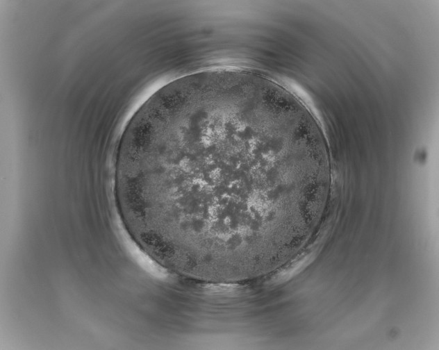 X0000091860859200709051207
