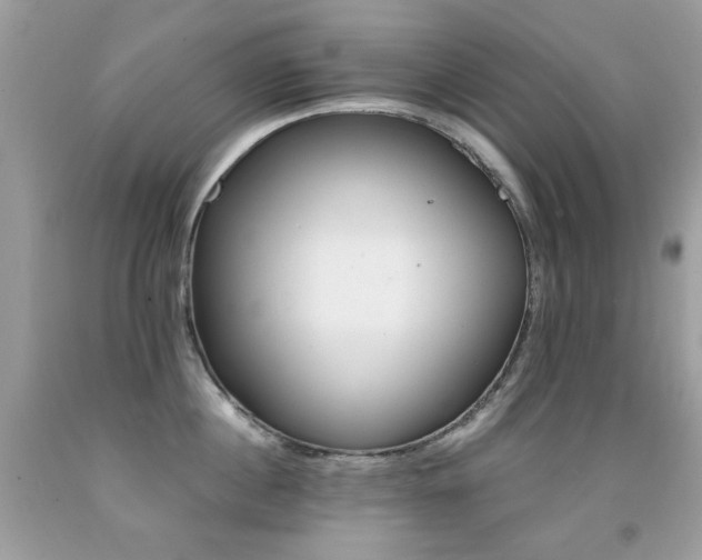 X0000091860860200709051207