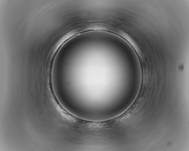 X0000091860861200709051207