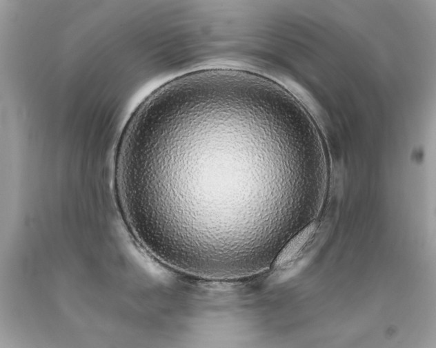 X0000091860862200709051207