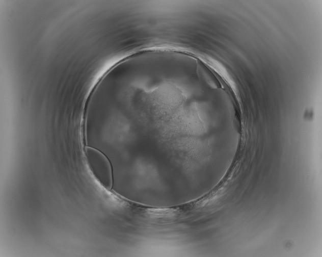 X0000091860863200709051207