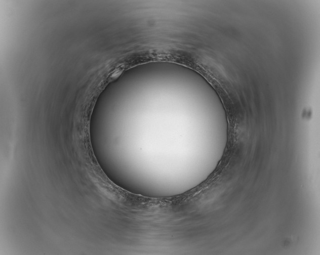 X0000091860865200709051206