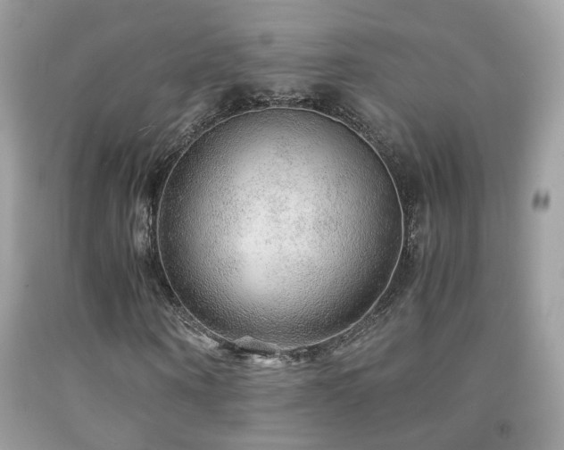 X0000091860866200709051206