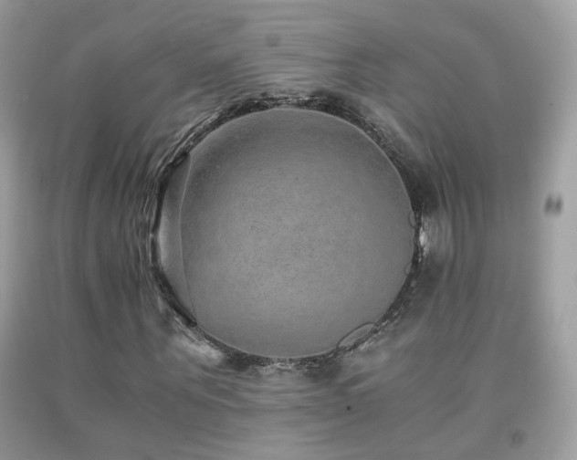 X0000091860867200709051206