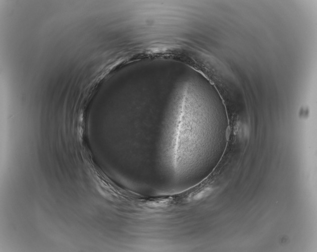 X0000091860868200709051206