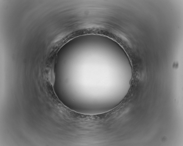 X0000091860869200709051206