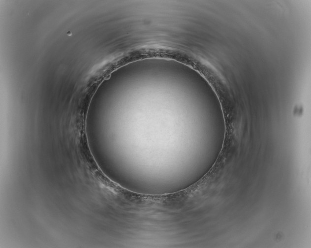 X0000091860870200709051206