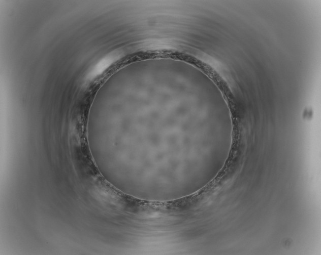 X0000091860871200709051206