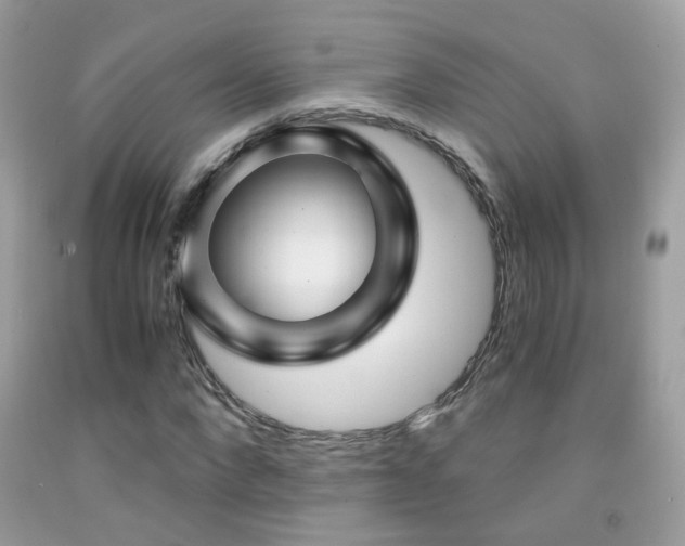 X0000091860872200709051206