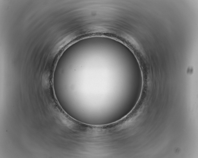 X0000091860873200709051206