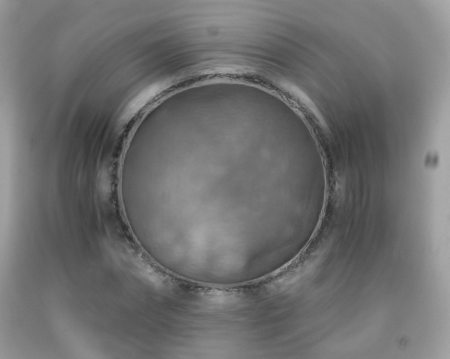 X0000091860874200709051206