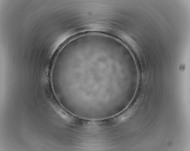 X0000091860875200709051206