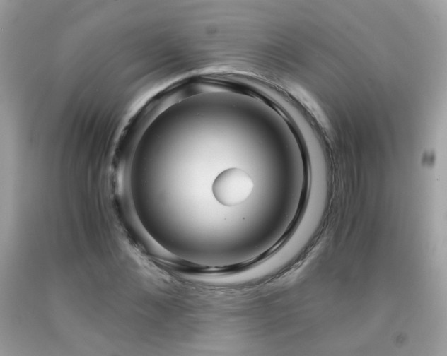 X0000091860876200709051206