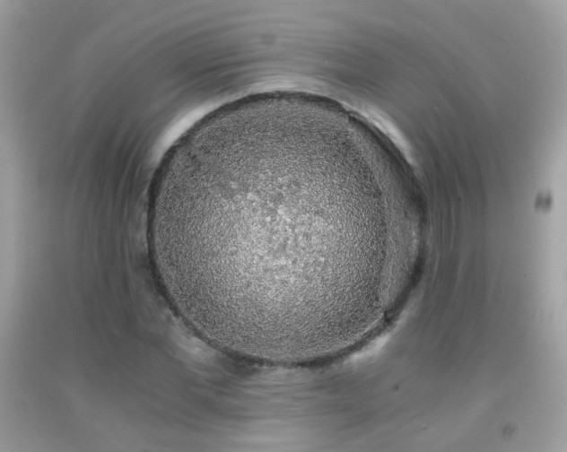X0000091860877200709051206