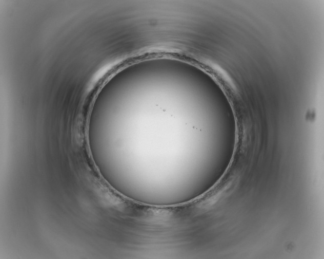 X0000091860878200709051206