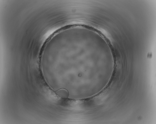X0000091860879200709051206