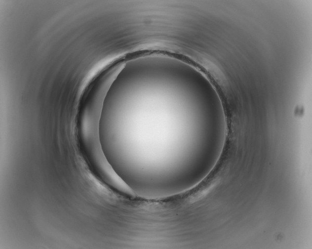 X0000091860880200709051206