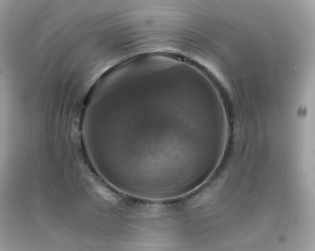 X0000091860881200709051206