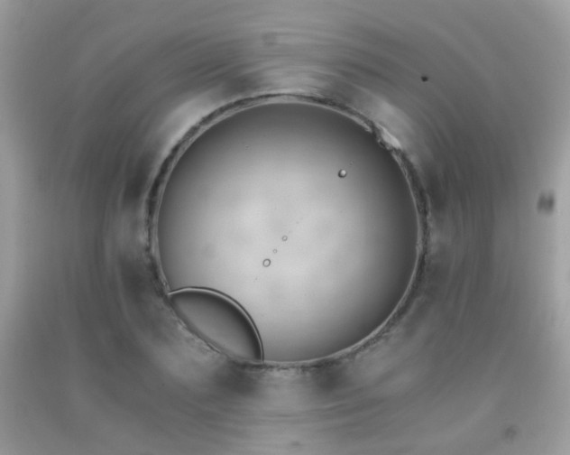 X0000091860883200709051206