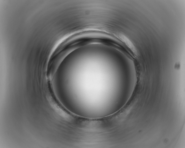 X0000091860884200709051206