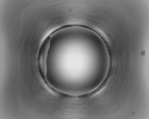 X0000091860885200709051206