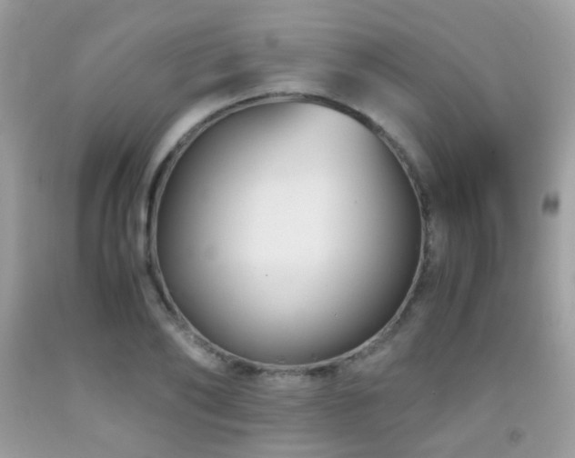 X0000091860886200709051206