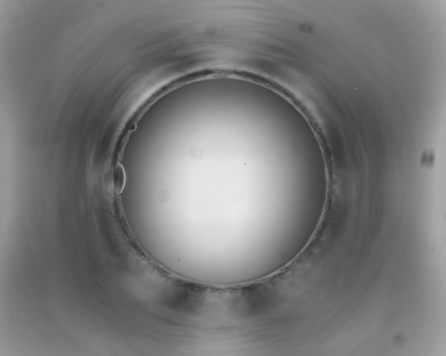 X0000091860887200709051206