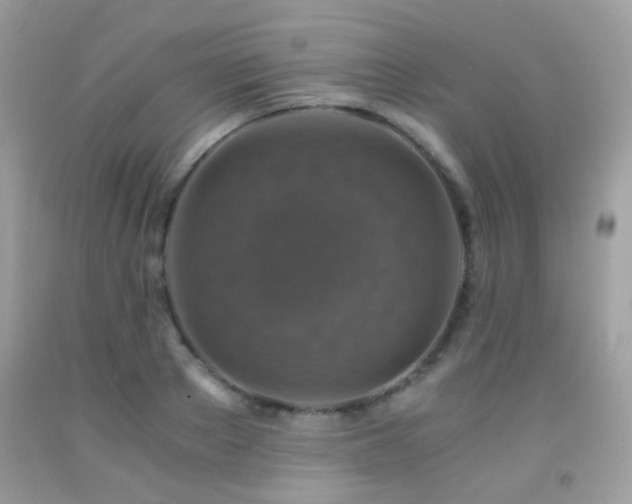 X0000091860889200709051206