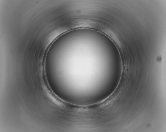 X0000091860890200709051206