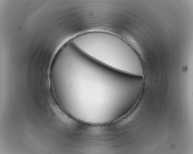 X0000091860892200709051206