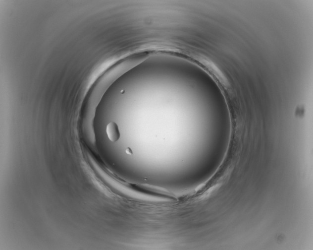 X0000091860893200709051206