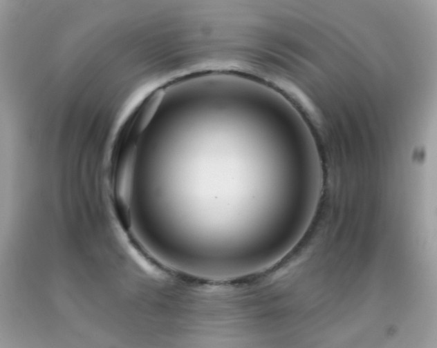 X0000091860894200709051205