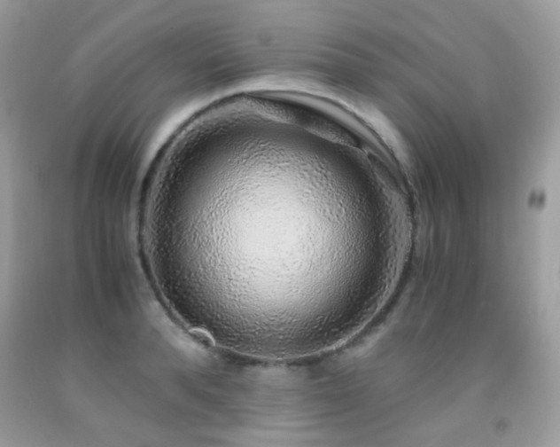 X0000091860896200709051205