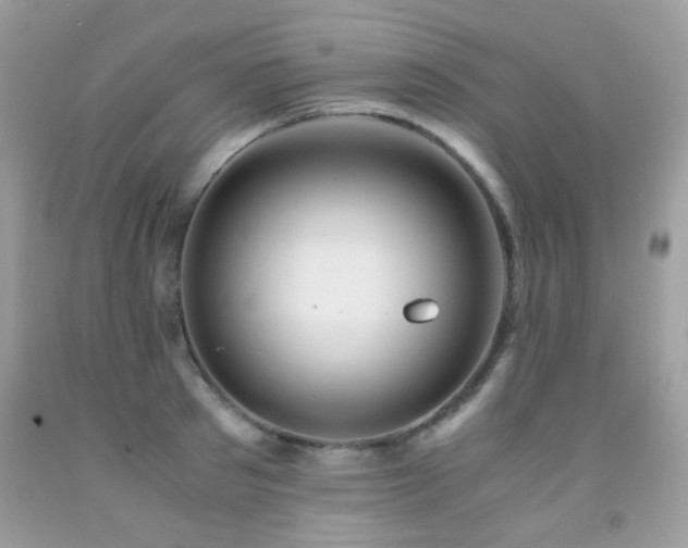 X0000091860897200709051205