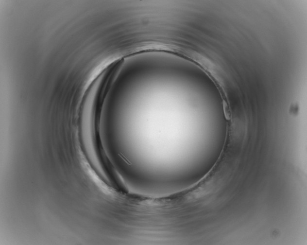 X0000091860898200709051205