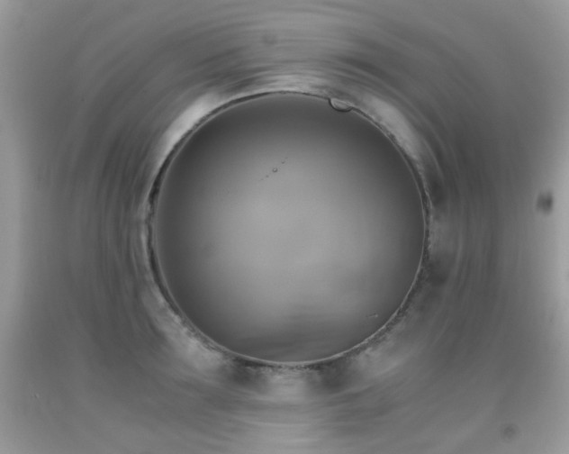 X0000091860899200709051205