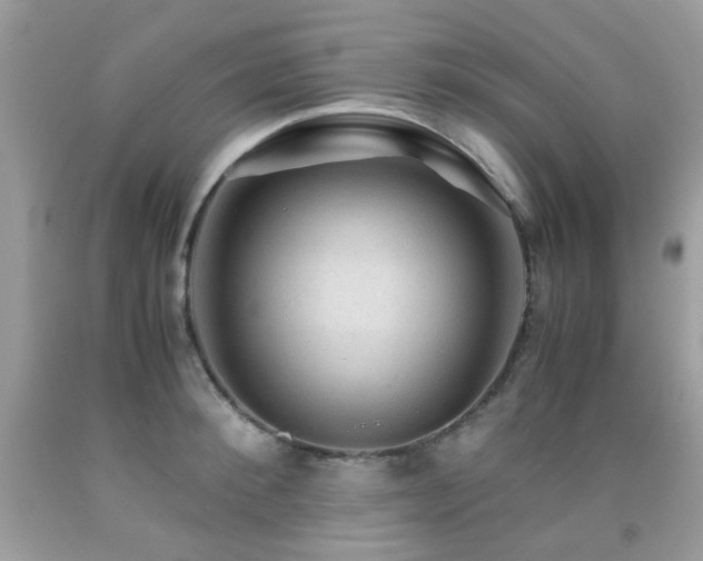 X0000091860900200709051205