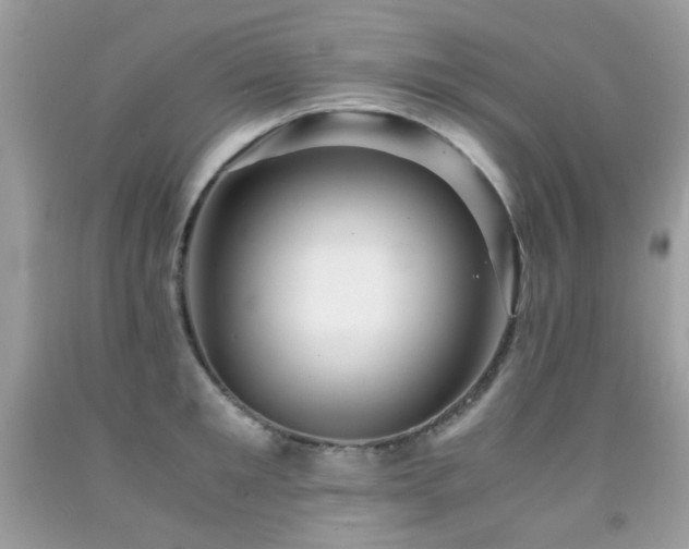X0000091860901200709051205