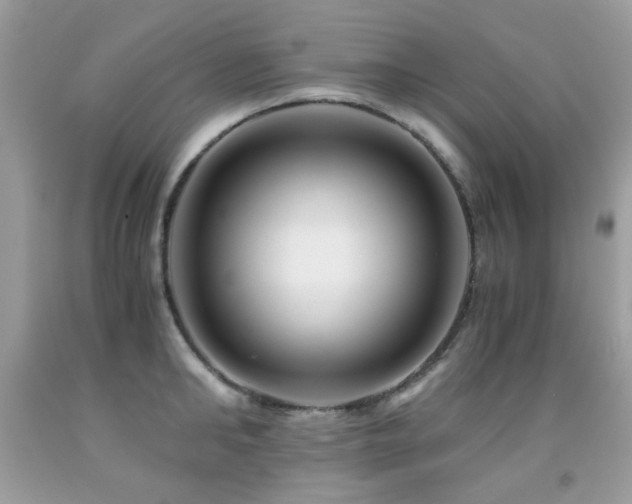 X0000091860902200709051205