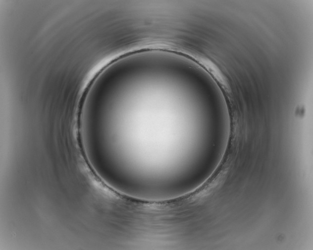 X0000091860904200709051205